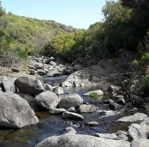Daire Bay View Funchal